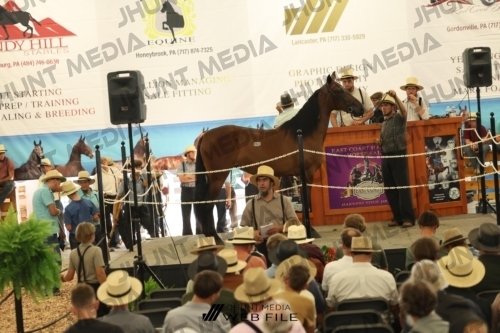 JHM_3314