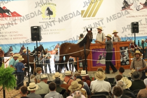 JHM_3321