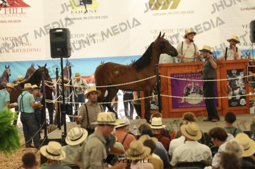 JHM_3323