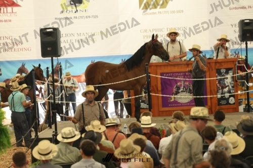 JHM_3324
