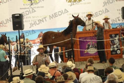 JHM_3331