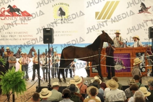 JHM_3335