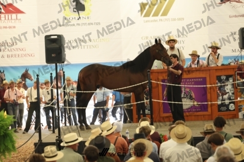 JHM_3337