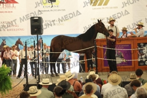 JHM_3338