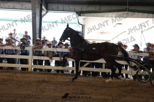 JHM_1052