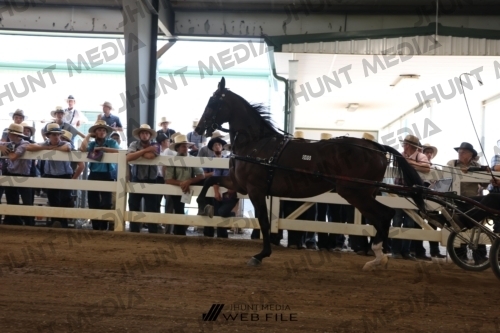 JHM_1053
