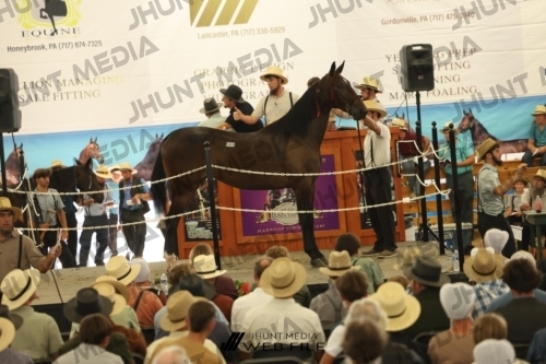 JHM_3363