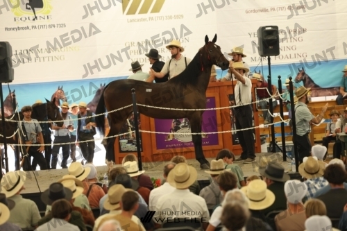 JHM_3364