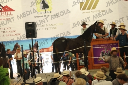 JHM_3371