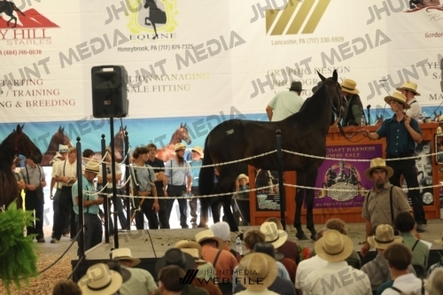 JHM_3374