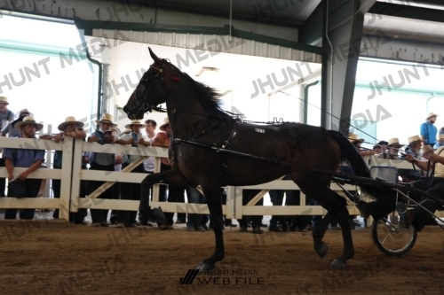 JHM_0864