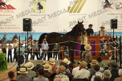 JHM_3379