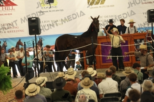 JHM_3382