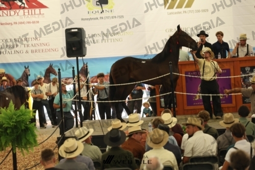 JHM_3383