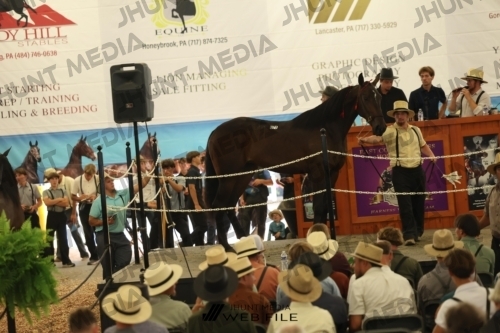 JHM_3384