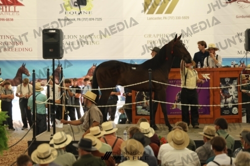 JHM_3387