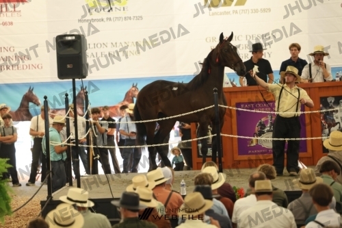 JHM_3391