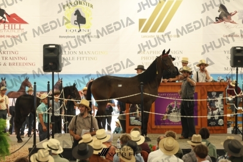 JHM_3403