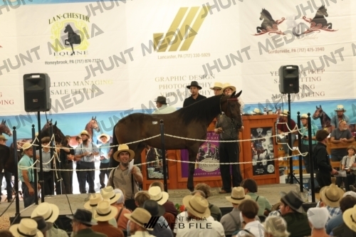 JHM_3406