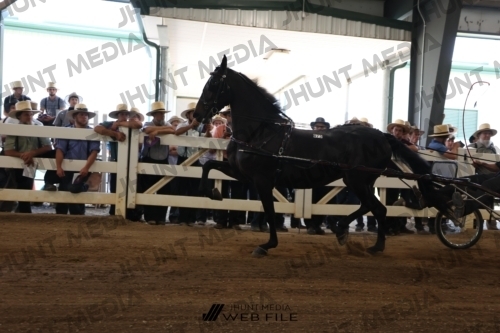 JHM_0982