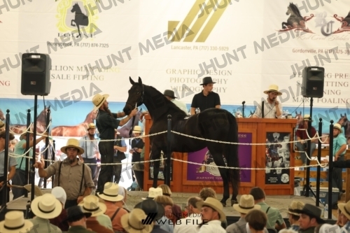 JHM_3411