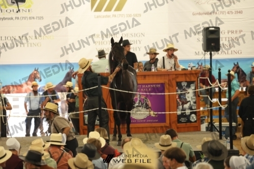 JHM_3415