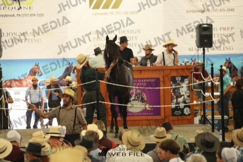 JHM_3416