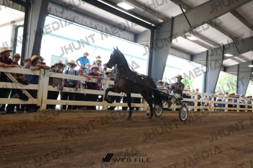 JHM_0742