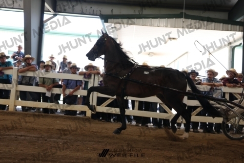 JHM_0767