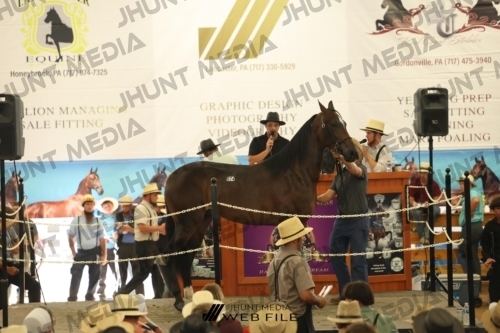 JHM_3417