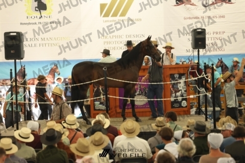 JHM_3423