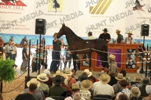 JHM_3425