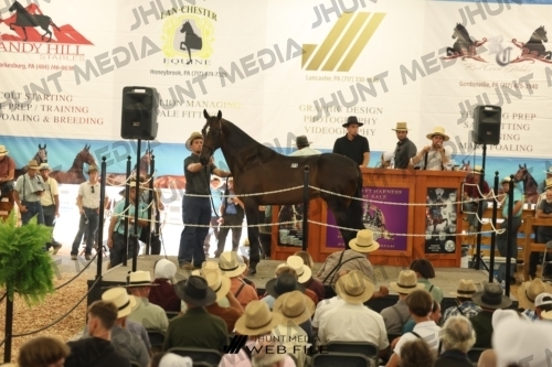 JHM_3426
