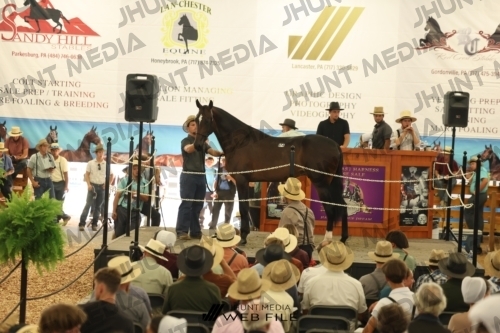 JHM_3427