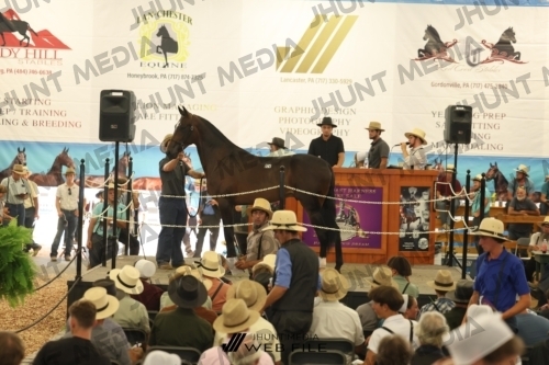 JHM_3428