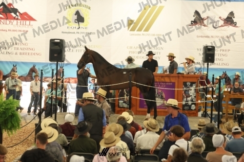 JHM_3429