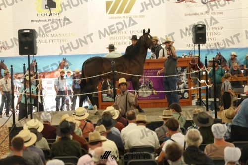 JHM_3430