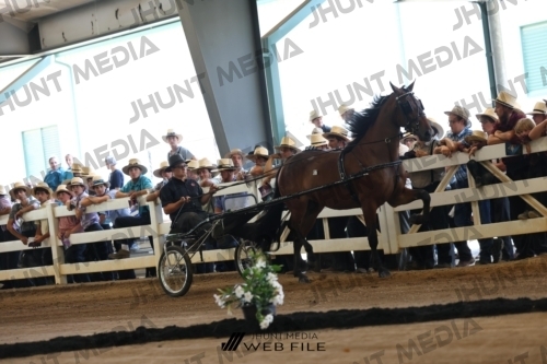 JHM_0368