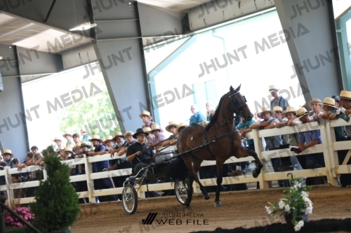 JHM_0370