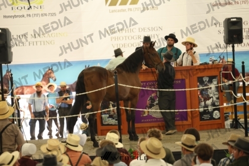 JHM_3443