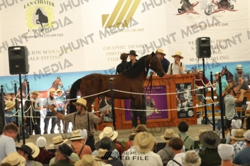 JHM_3455