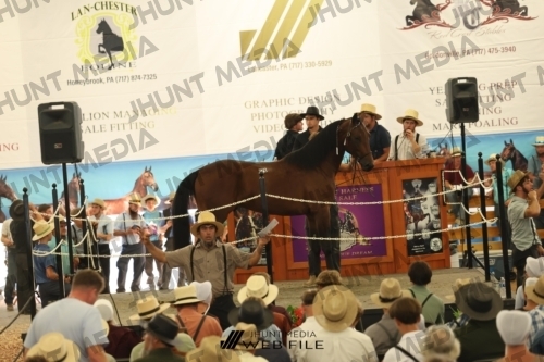 JHM_3456