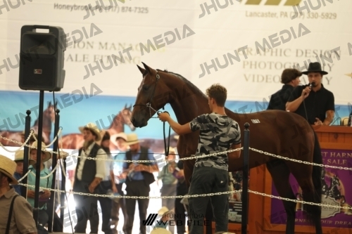 JHM_3457