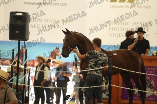 JHM_3458