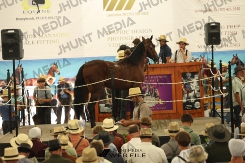 JHM_3461