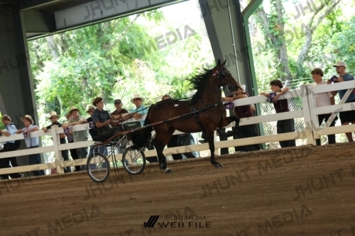 JHM_0364