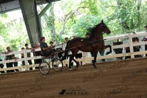 JHM_0365