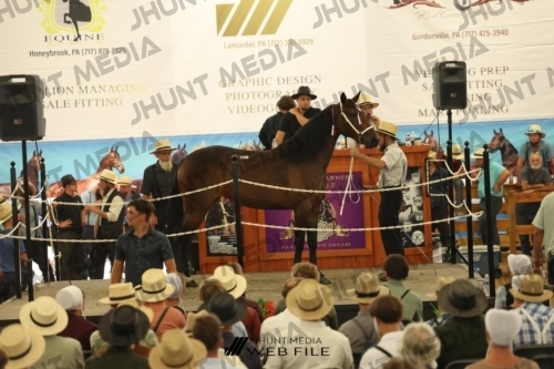 JHM_3463