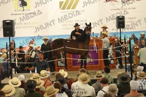 JHM_3465