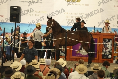 JHM_3467